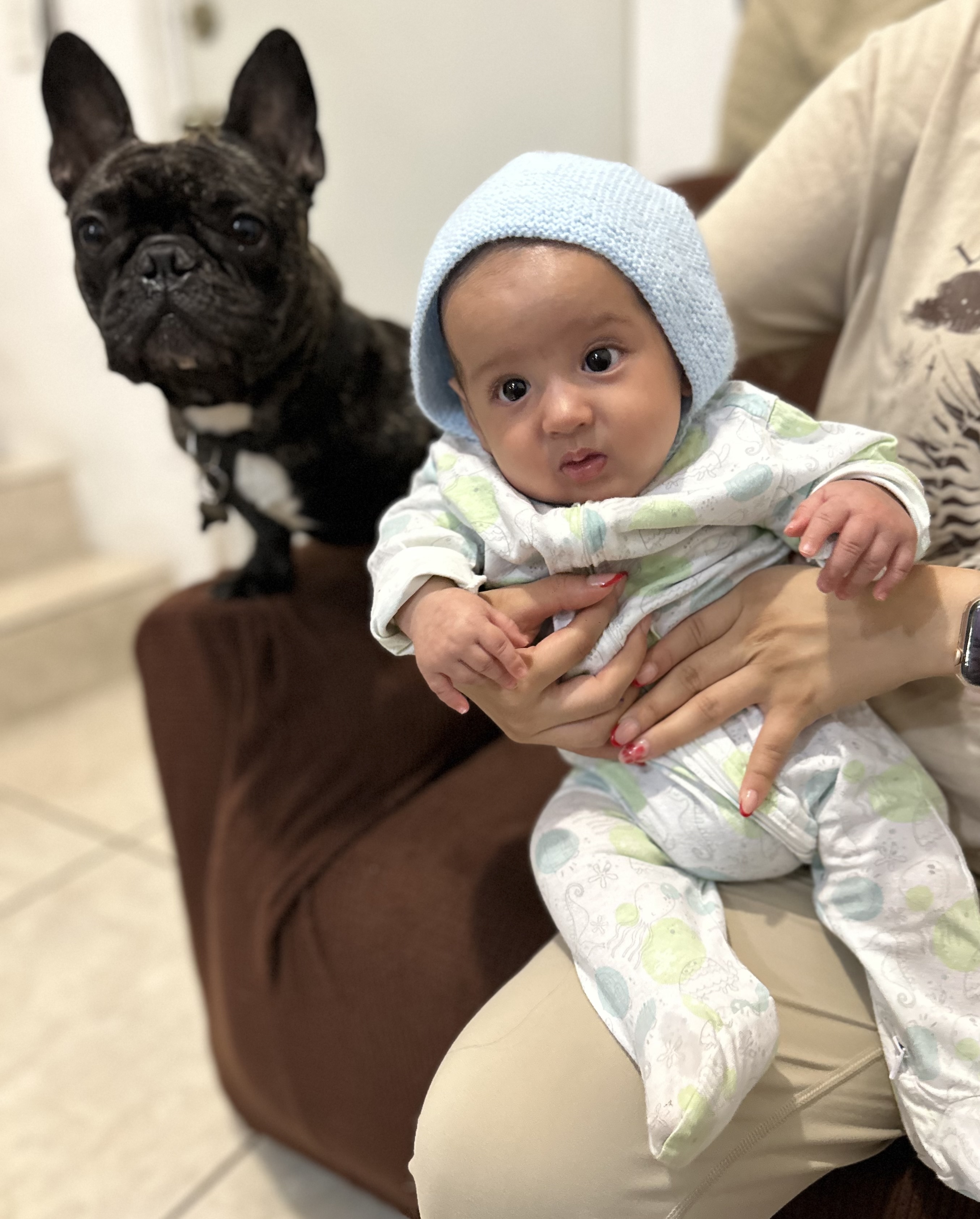 Gael